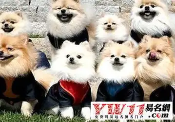 qq说说搞笑大全-起名网