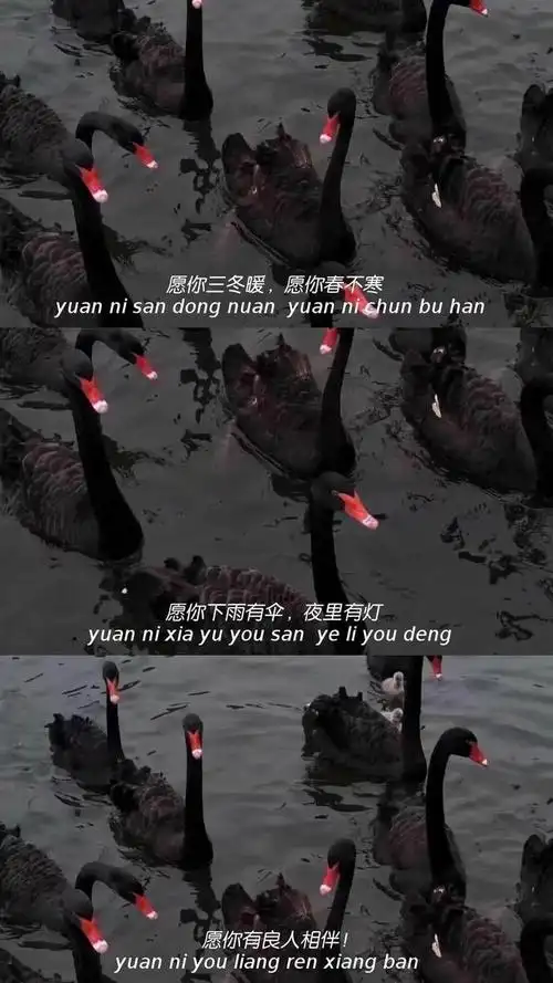 伤感的句子图片三格三屏壁纸带字伤感