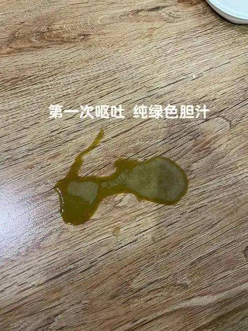 猫咪吃了百利呕吐是什么原因