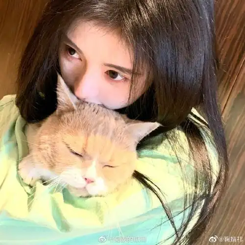 鞠婧祎捧猫头像##鞠婧祎该擦镜子了