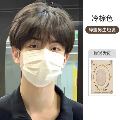 捷迈假发男生帅气蓬松 男生微分碎盖短发齐刘海韩版帅气男士 冷棕色