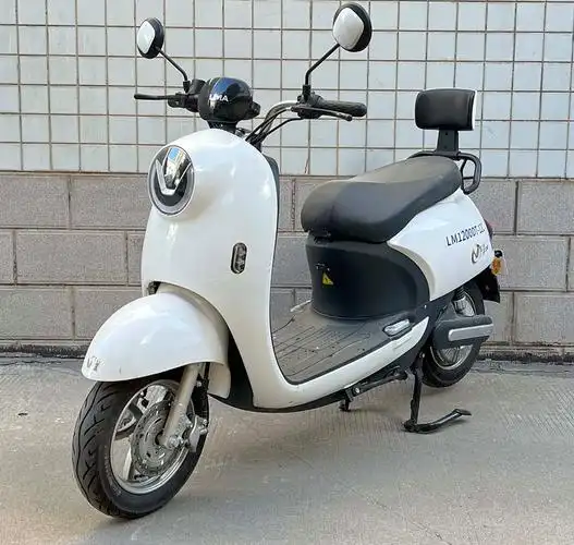 立马牌lm1200dt12c电动两轮摩托车