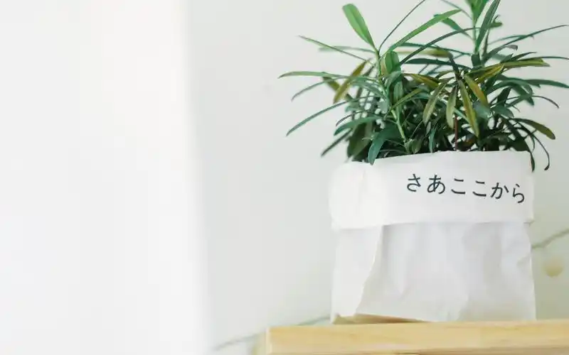 文艺小清新静物高清桌面壁纸图片高清大图预览1920×1200_风格壁纸