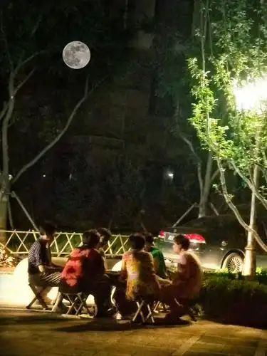 夏日乘凉(拍于某小区)