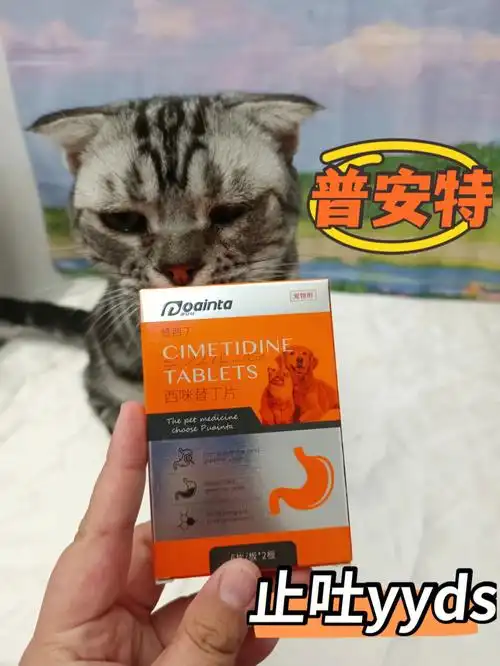 养猫家庭必备药品