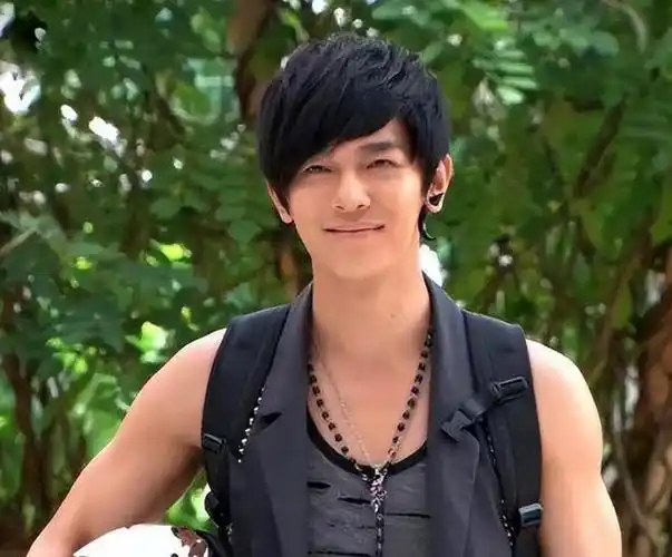 隐婚生子,性取向成谜,当初红遍大江南北的飞轮海,结果惨淡收场|吴尊