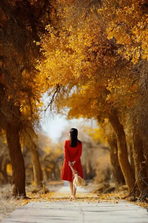 最美的季节带上她