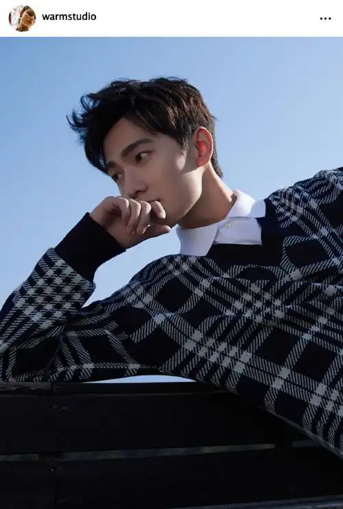 杨洋蓝白格学院风毛衣