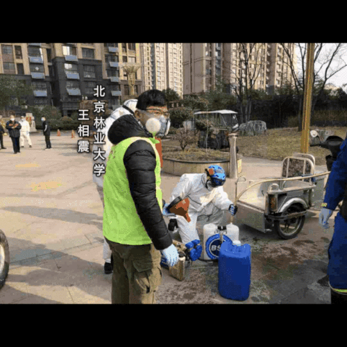 青春战疫团旗飘不负韶华勇担当