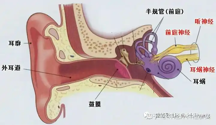 05 听神经瘤会引起面瘫吗?