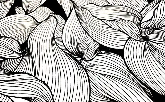 线条的魅力简单的线条不断重复就能出好看的画