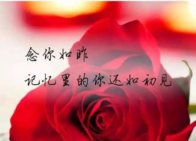 有一种思念,淡淡的,但很幸福;有种一牵挂,远远地,但很满足_日子_因为