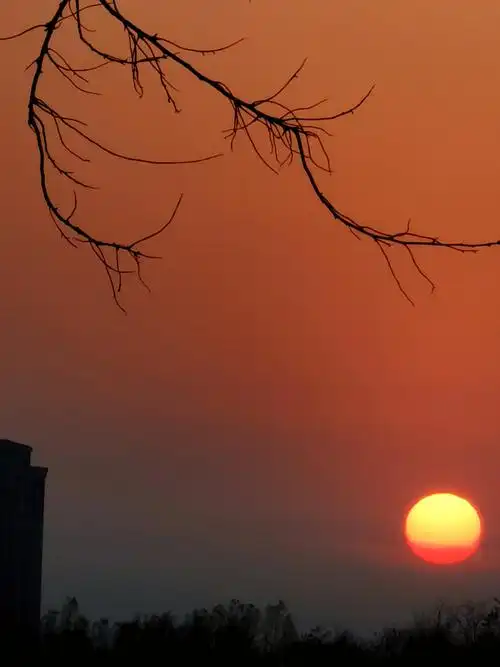 傍晚好景色,夕阳欲增辉!