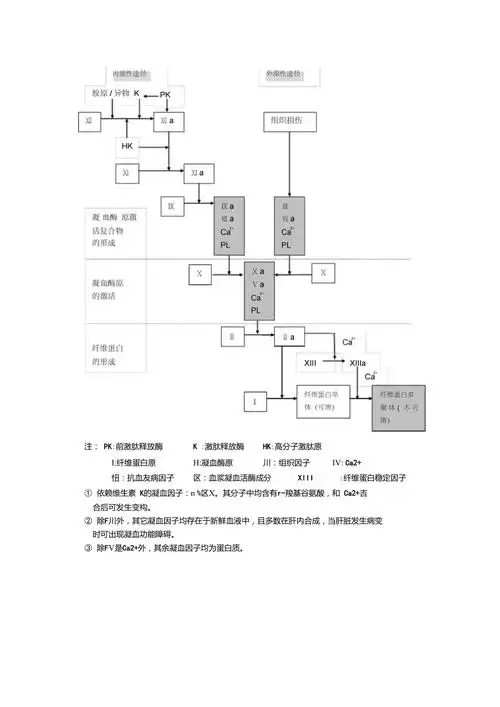 凝血过程示意图