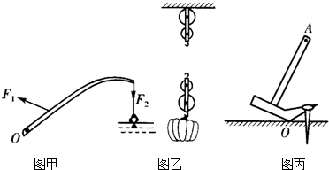 (1)如图甲所示为钓鱼竿钓鱼的示意图.o为支点.