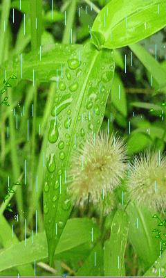 240_400竖版 竖屏gif 动态图 动图