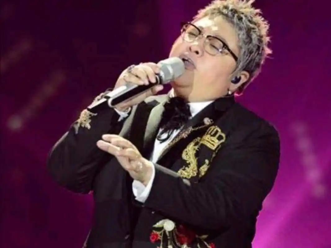 韩红冠军之后再出发用音乐震撼世界简历背后的音乐执着与梦想追求