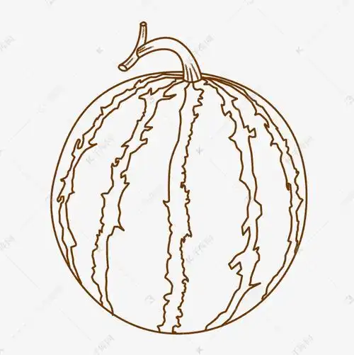 线描水果西瓜