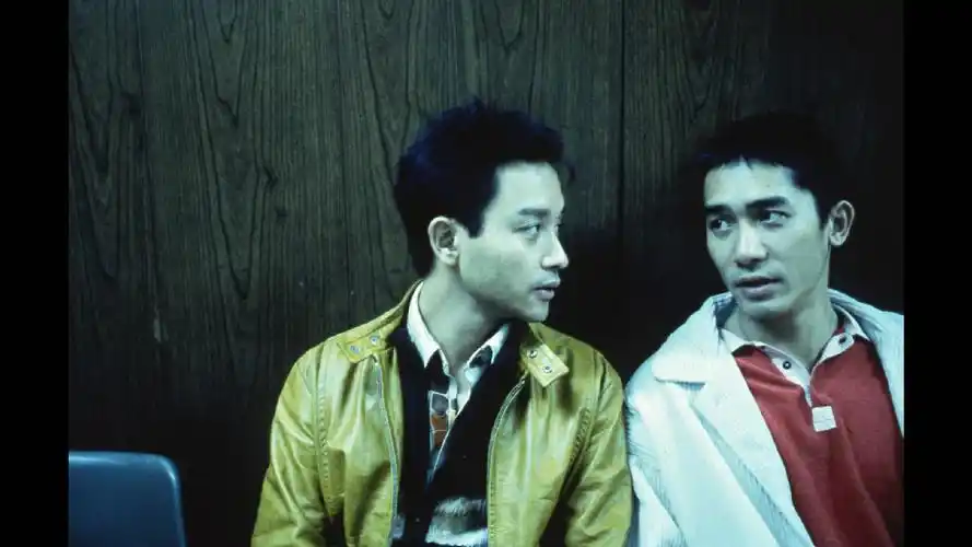 p>《春光乍泄》是由 a href="#" data-lemmaid="373607">王家卫 /a>