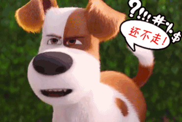 soogifgif萌宠大作战gifsoogif出品gif还不走gif