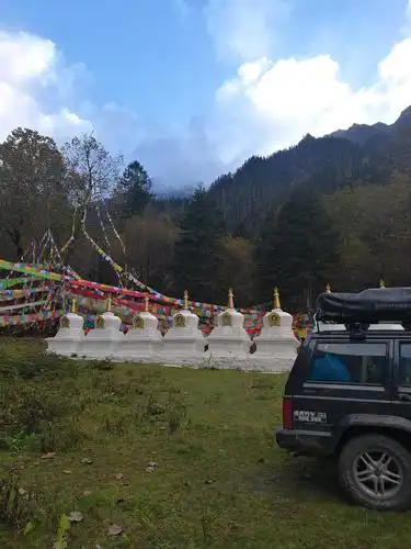 意外的卓龙沟树葬地之行