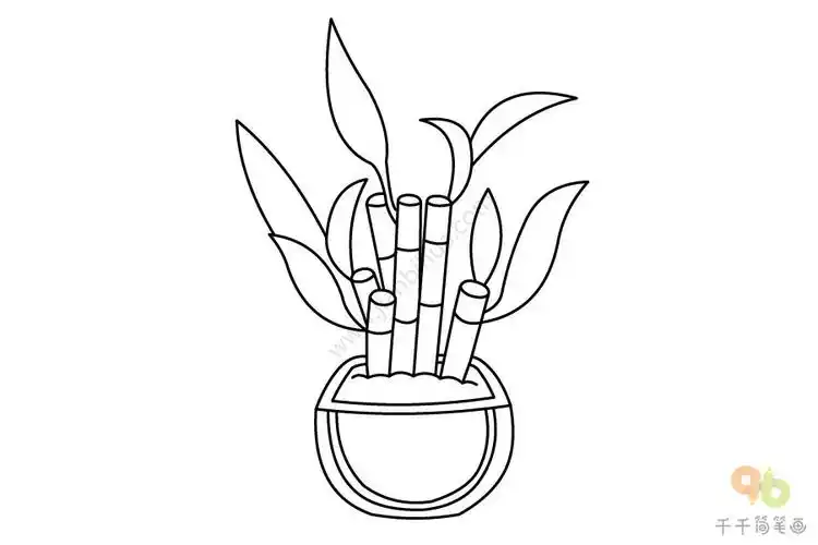 富贵竹简笔画图片