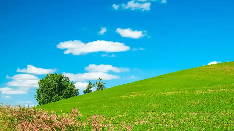绿色护眼草原自然风景高清图片桌面壁纸-风景壁纸-手机壁纸下载-美桌