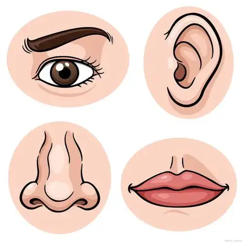 五官中最能影响颜值的是哪一个