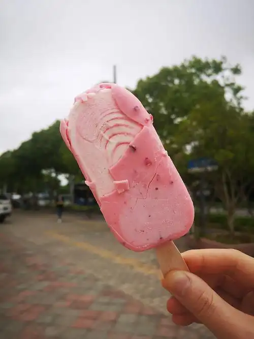 自由的气息小卖部买的樱花雪糕