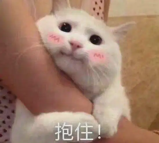 聊天必备无敌可爱撩人表情包嗨不起来算我输赶紧收藏