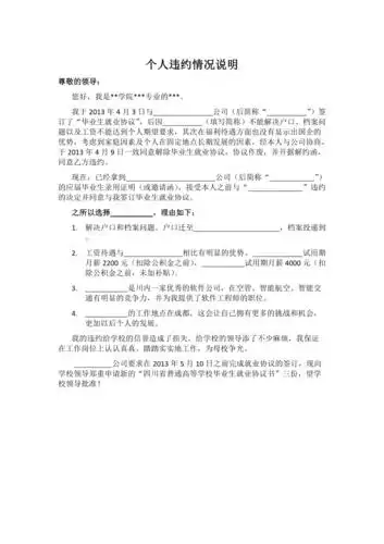 个人违约情况说明模板