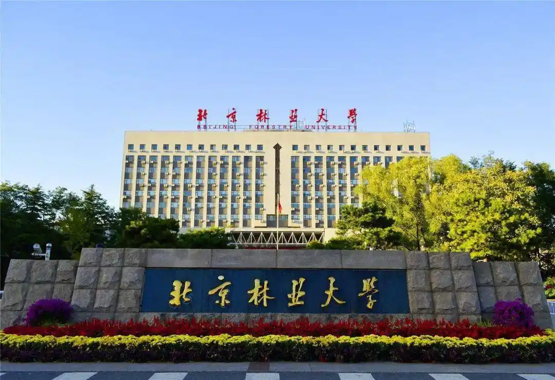 招聘| 北京林业大学2020年非教师岗位招聘启事(第二批)_投递