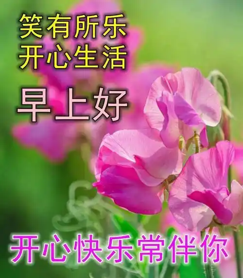 原创8张最美夏日风景早上好图片带字好看的夏天早安问候祝福语图片带