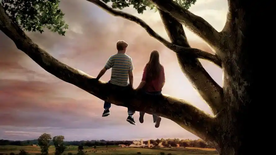 经典高分小清新电影《怦然心动》,斯人若彩虹,遇上方知有