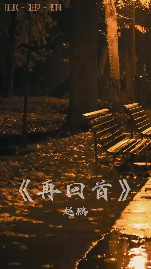 往事不堪回首治愈深夜文案总有一句话戳心情绪音乐壁纸动态壁纸再