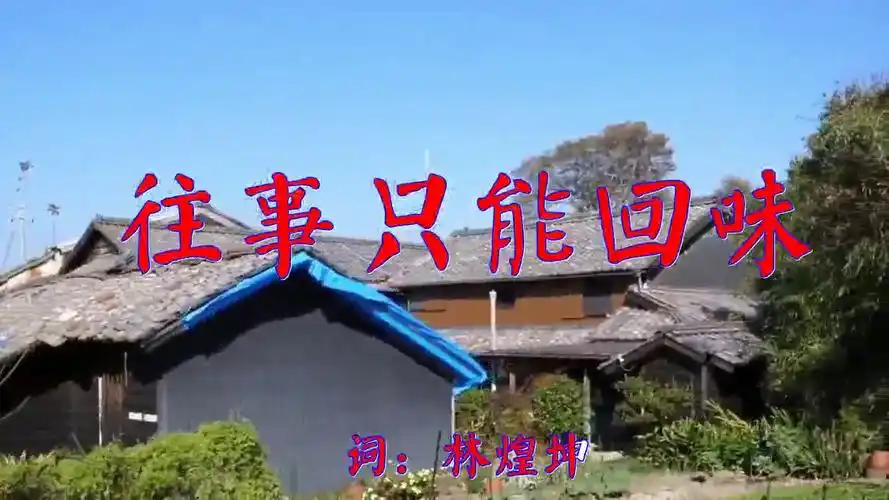 06:20 dj舞曲-韩宝仪的一首《往事只能回味》,经典歌曲,唱出真感情 03