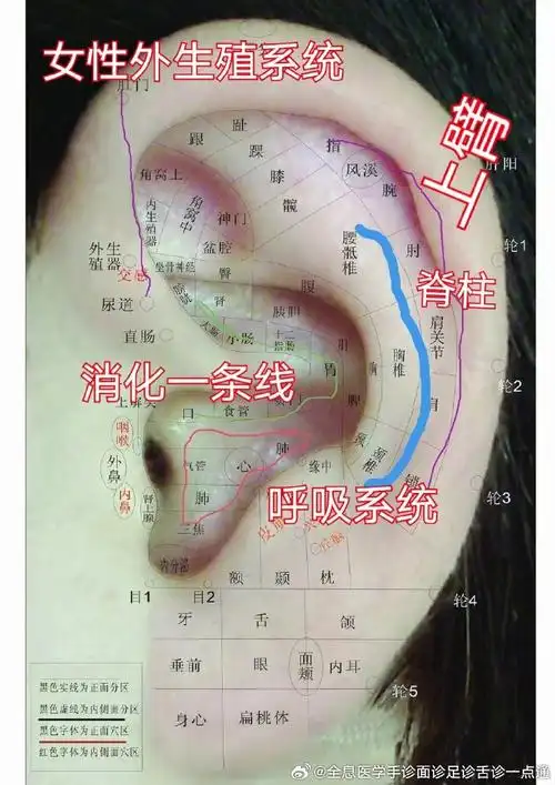 为什么耳朵里面会长这种痘##国医的精诚力量