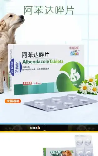 批发新宠之康阿苯达唑片6粒/盒装宠物狗狗体内驱虫药
