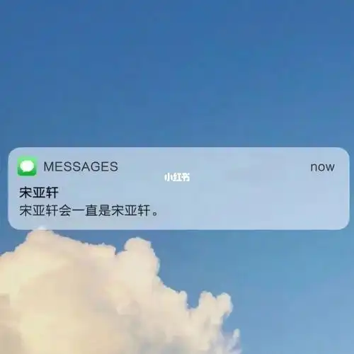 宋亚轩的文案_文案_宋亚轩_手写_素材_文字素材