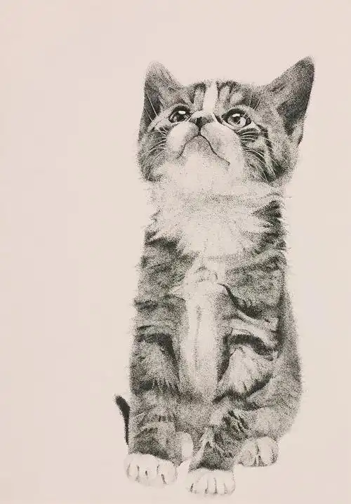 针管笔点绘宠物|纯艺术|绘画|姜姜手作 - 原创作品 - 站酷 (zcool)