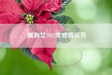 属狗女2022年感情运势