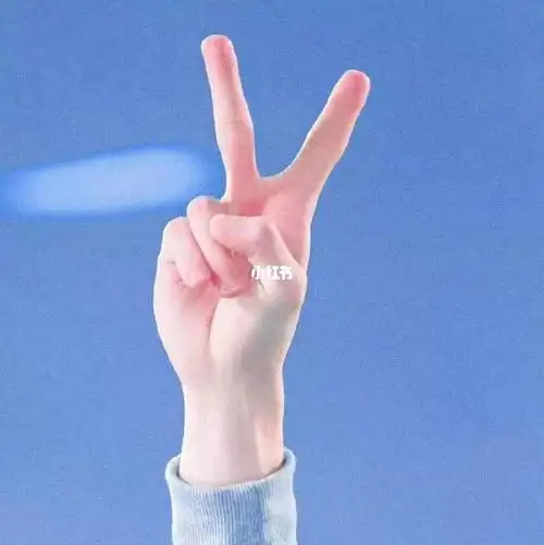 要对生活比个耶70