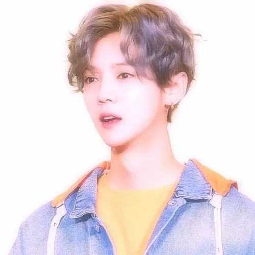 自修〕鹿晗爱豆头像