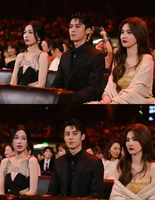 肖战 热巴被冷落 85花争奇斗艳 黄晓明杨颖同框 全是故事_杨紫_美女