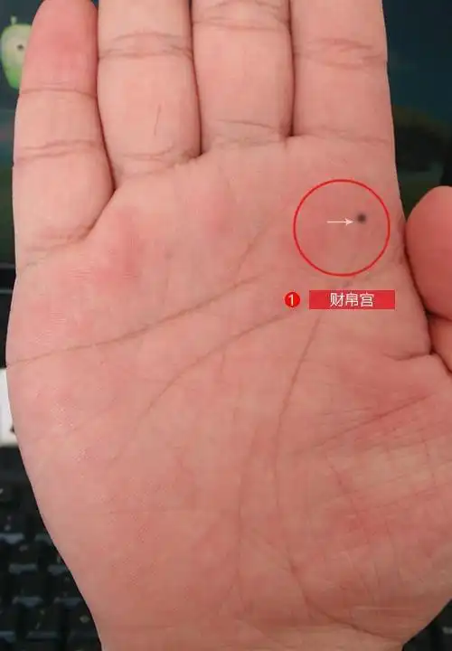 他的右手在食指下方财帛宫,就是手相巽卦的位置,有一颗很明显的黑痣