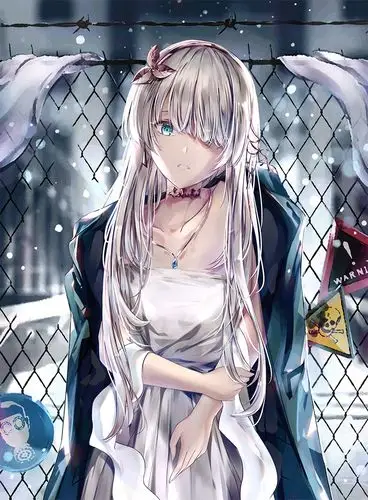 fate壁纸第五十期