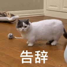 沙雕动态表情包:不去不去我没钱