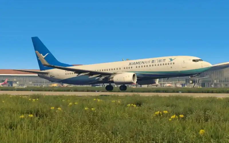 霞光万道 厦门航空737-800北京大兴国际机场起飞