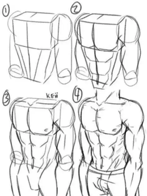 人体肌肉画法78 小白福音