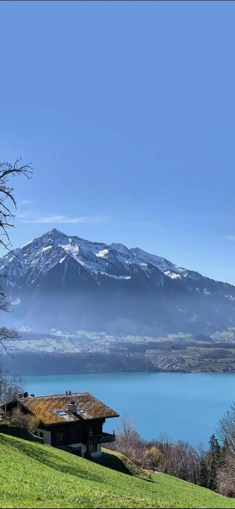 1080_2340竖版 竖屏